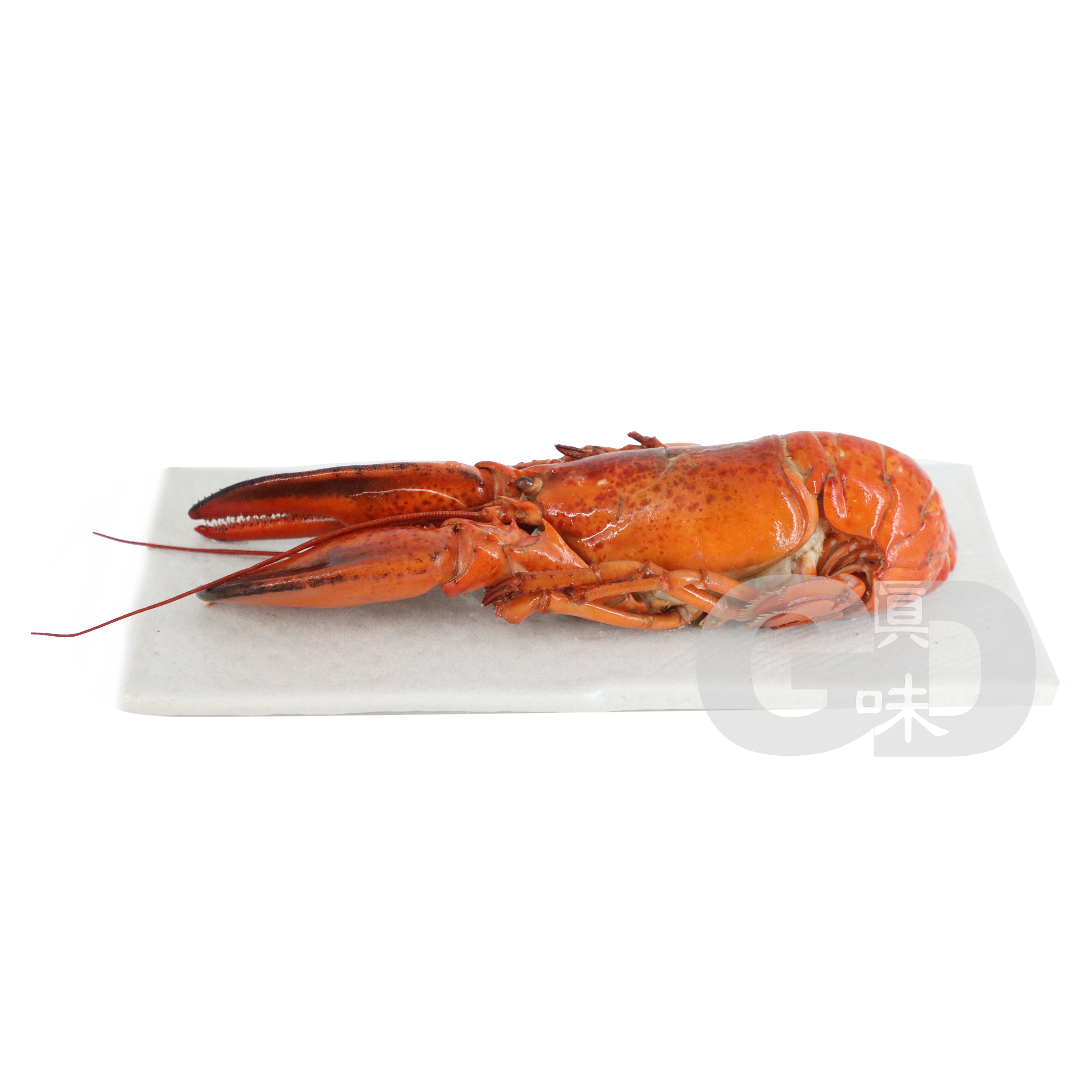 #4224d 加拿大原隻龍蝦 Canadian Whole Cooked Lobster