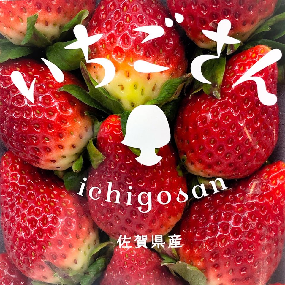 日本佐賀 – 草莓小姐 士多啤梨 (1扎10包) (下單後三天送貨)