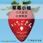 Load image into Gallery viewer, 日本佐賀 – 草莓小姐 士多啤梨 (1扎10包) (下單後三天送貨)
